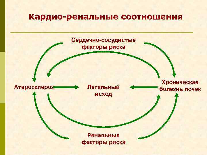 Кардио-ренальные соотношения Сердечно-сосудистые факторы риска Атеросклероз Летальный исход Ренальные факторы риска Хроническая болезнь почек