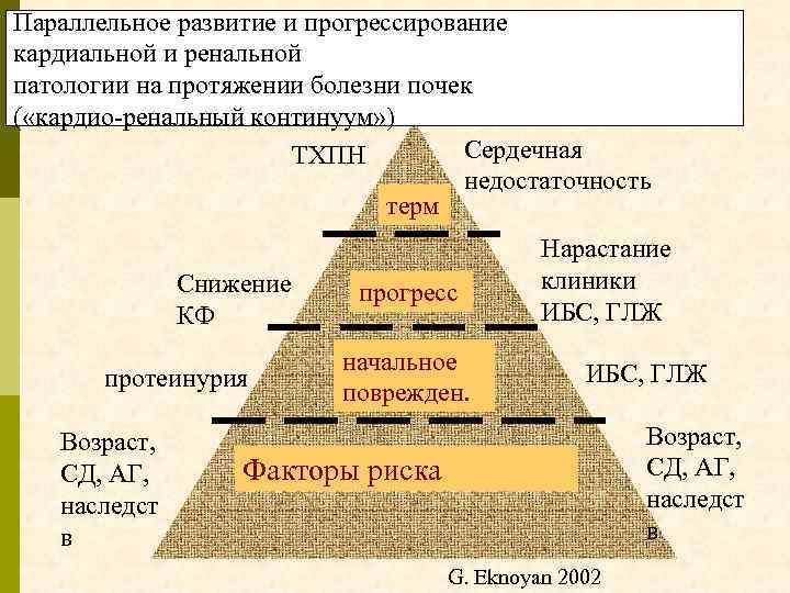 Параллельное развитие и прогрессирование кардиальной и ренальной патологии на протяжении болезни почек ( «кардио-ренальный