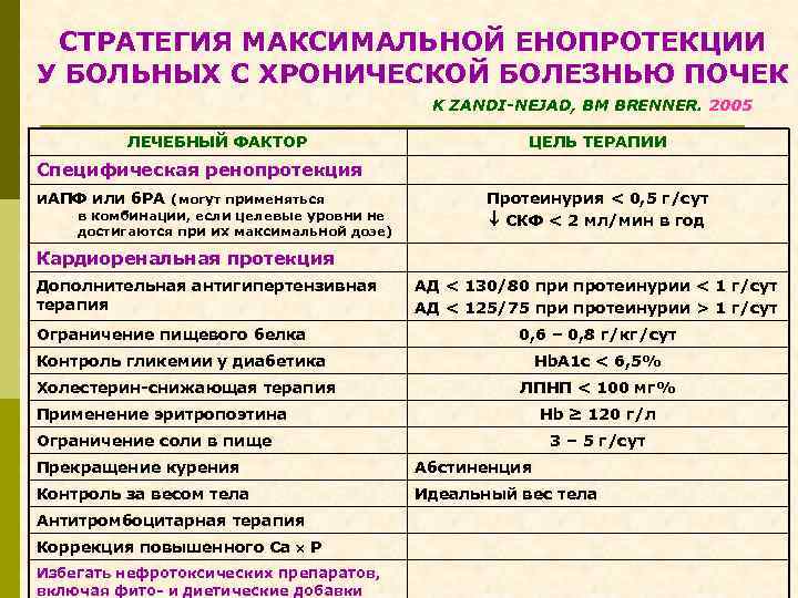 СТРАТЕГИЯ МАКСИМАЛЬНОЙ ЕНОПРОТЕКЦИИ У БОЛЬНЫХ С ХРОНИЧЕСКОЙ БОЛЕЗНЬЮ ПОЧЕК K ZANDI-NEJAD, BM BRENNER. 2005