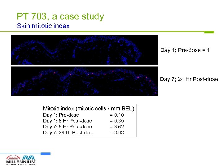 PT 703, a case study Skin mitotic index Day 1; Pre-dose = 1 Day