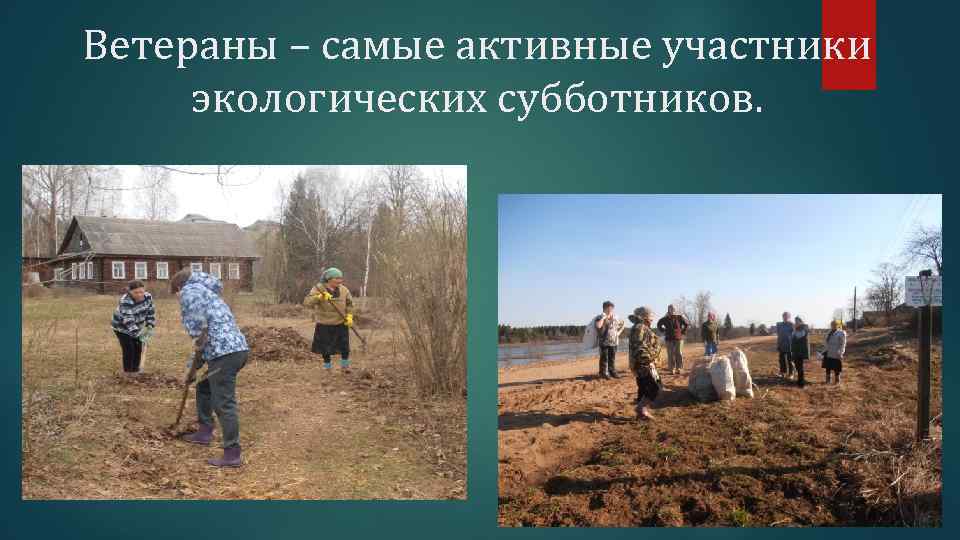 Ветераны – самые активные участники экологических субботников. 