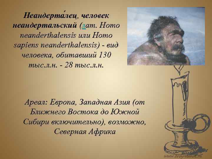 Неандерта лец, человек неандертальский (лат. Homo neanderthalensis или Homo sapiens neanderthalensis) - вид человека,