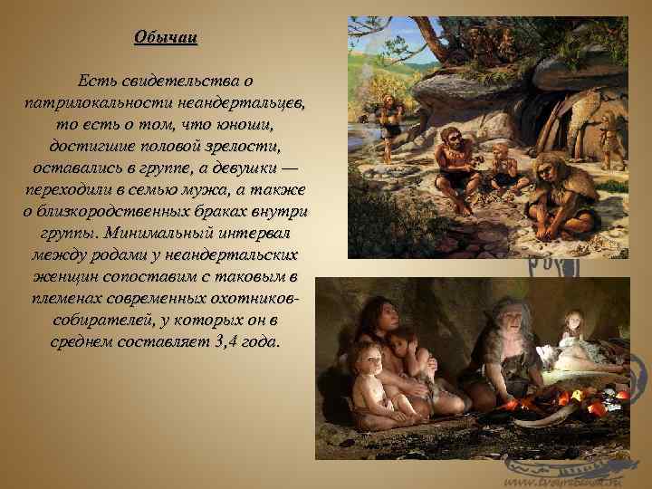 Обычаи Есть свидетельства о патрилокальности неандертальцев, то есть о том, что юноши, достигшие половой