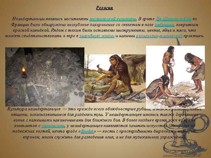 Религия Неандертальцы являлись носителями мустьерской культуры. В гроте Ля-Шапель-о-Сен во Франции было обнаружено неглубокое