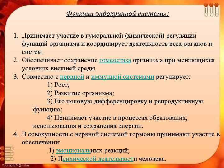 Функции эндокринной системы: 1. Принимает участие в гуморальной (химической) регуляции функций организма и координирует