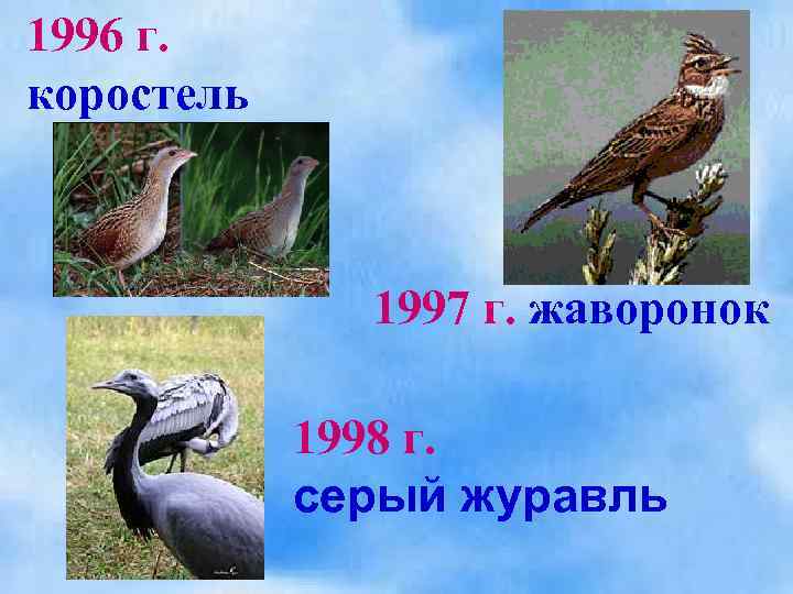 1996 г. коростель 1997 г. жаворонок 1998 г. серый журавль 