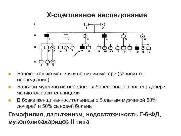 Х-сцепленное наследование n n n Болеют только мальчики по линии матери (зависит от наследвания)