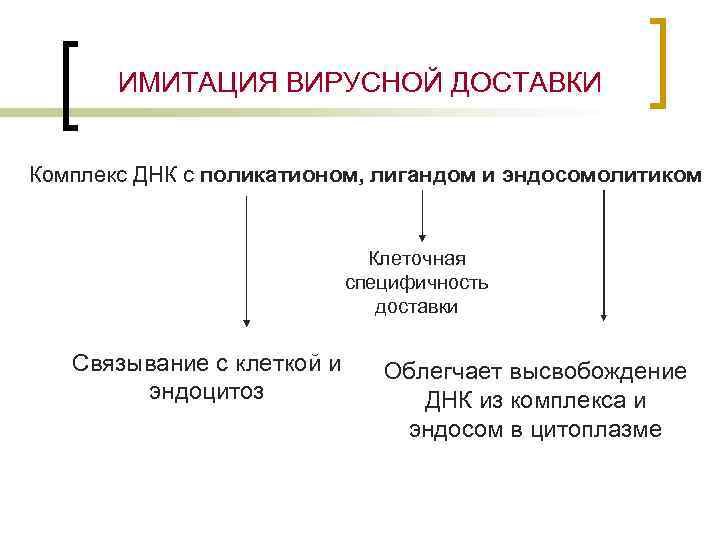 ИМИТАЦИЯ ВИРУСНОЙ ДОСТАВКИ Комплекс ДНК с поликатионом, лигандом и эндосомолитиком Клеточная специфичность доставки Связывание