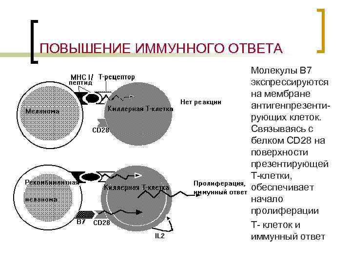 Генная терапия презентация