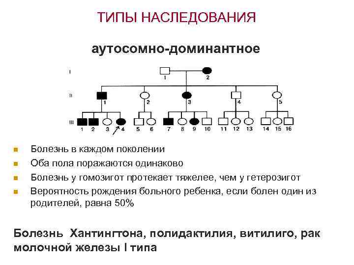 ТИПЫ НАСЛЕДОВАНИЯ аутосомно-доминантное n n Болезнь в каждом поколении Оба пола поражаются одинаково Болезнь