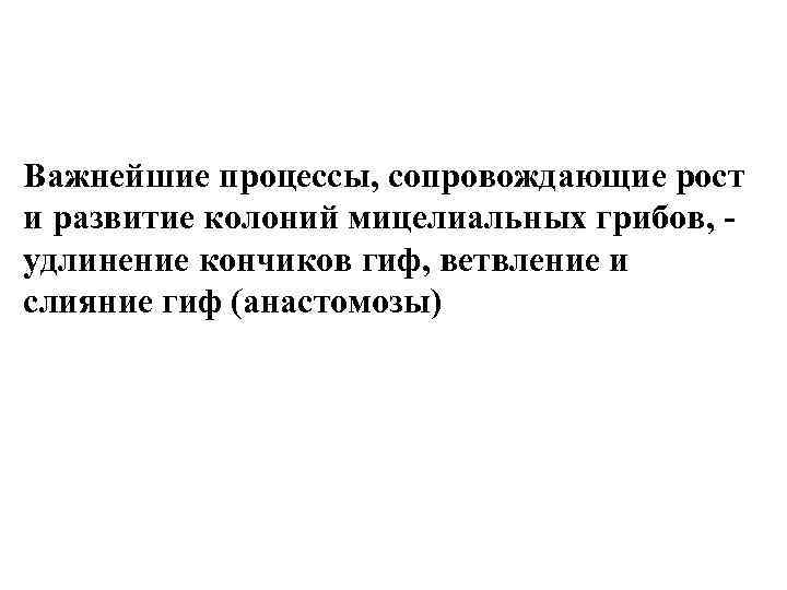 Важнейшие процессы, сопровождающие рост и развитие колоний мицелиальных грибов, удлинение кончиков гиф, ветвление и