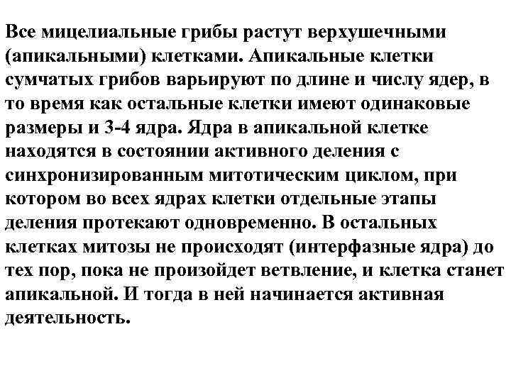 Все мицелиальные грибы растут верхушечными (апикальными) клетками. Апикальные клетки сумчатых грибов варьируют по длине