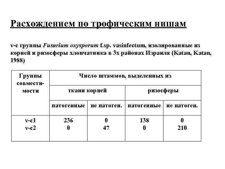 Расхождением по трофическим нишам v-с группы Fusarium oxysporum f. sp. vasinfectum, изолированные из корней