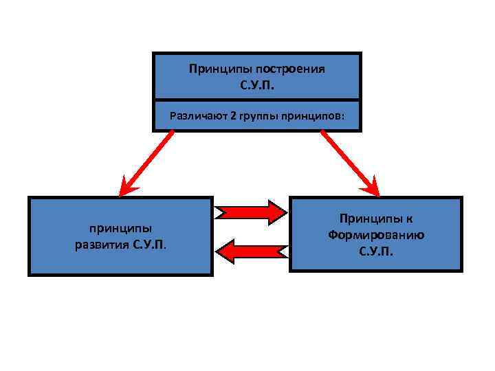 Принципы построения С. У. П. Различают 2 группы принципов: принципы развития С. У. П.