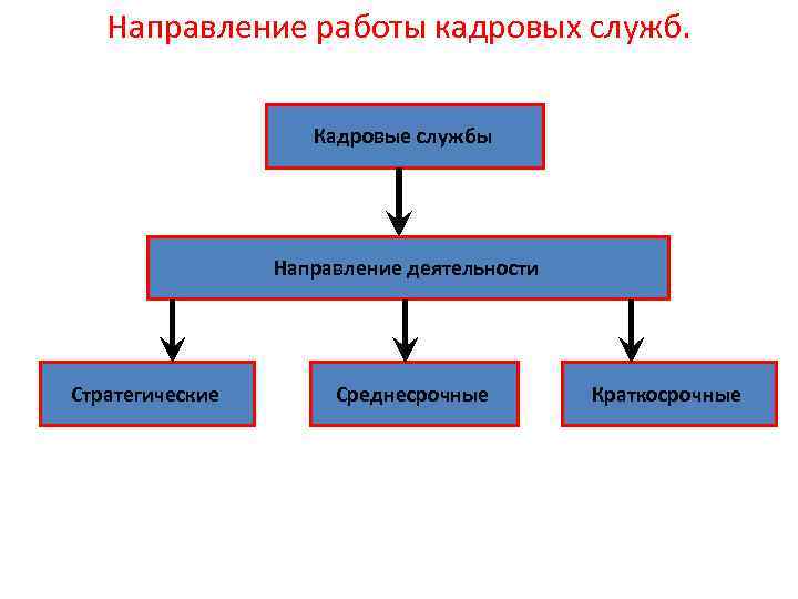 Кадровые направления. Направления деятельности кадровой службы. Направления работы кадровой службы. Основные направления деятельности кадровой службы. Стратегические направления в кадровой службе.