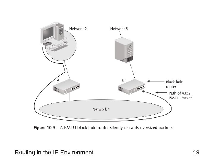 Routing in the IP Environment 19 