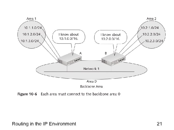 Routing in the IP Environment 21 