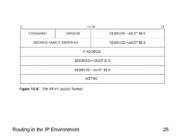 Routing in the IP Environment 25 