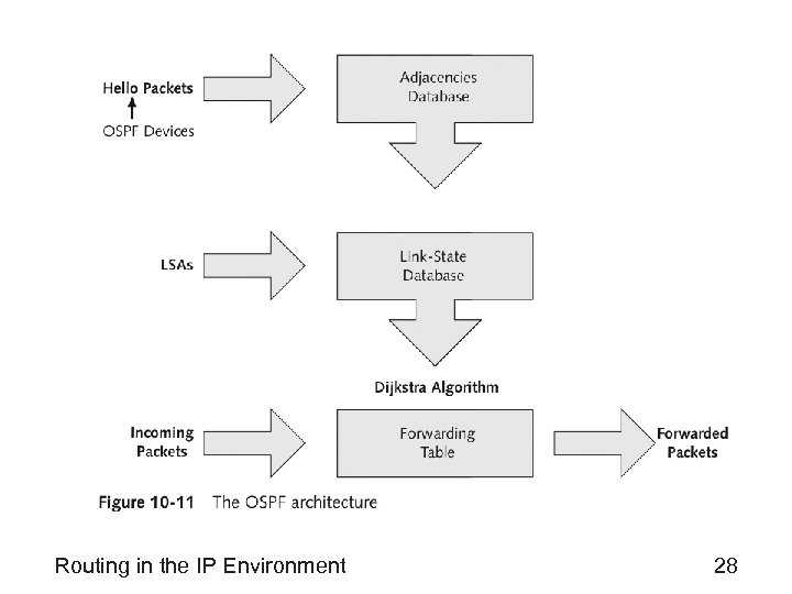 Routing in the IP Environment 28 