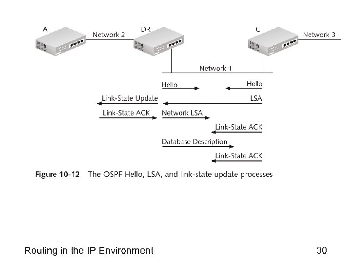 Routing in the IP Environment 30 