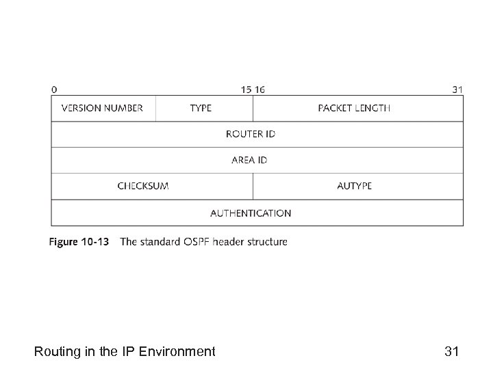 Routing in the IP Environment 31 