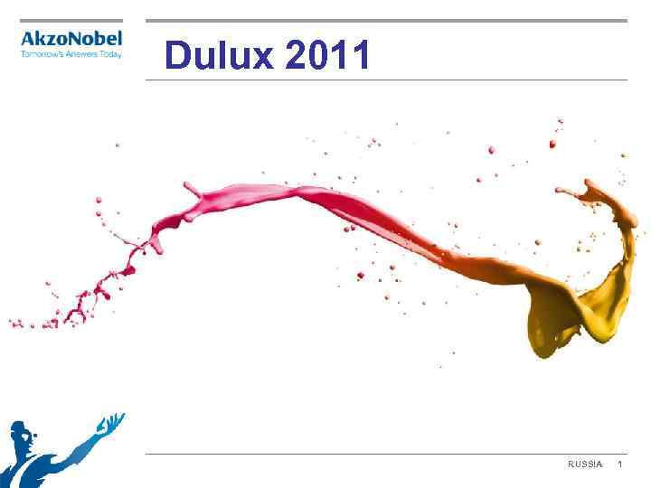 Dulux 2011 RUSSIA 1 