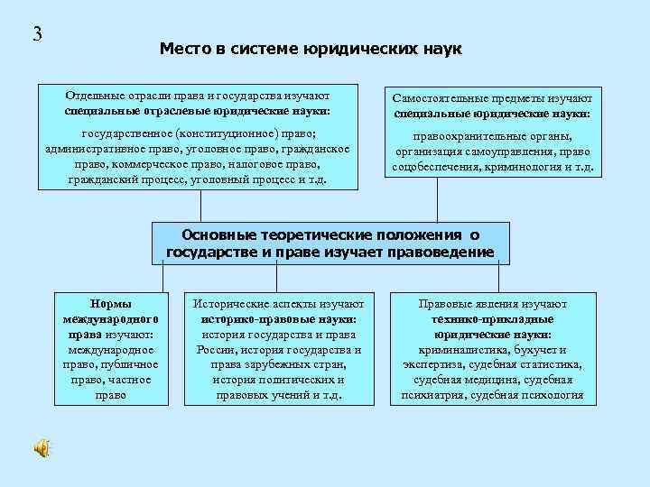 3 Место в системе юридических наук Отдельные отрасли права и государства изучают специальные отраслевые