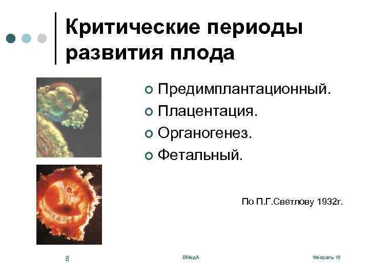 Критические периоды развития плода презентация