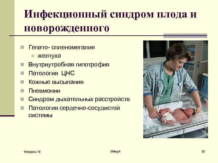 Инфекционный синдром плода и новорожденного n Гепато- спленомегалия желтуха Внутриутробная гипотрофия Патология ЦНС Кожные