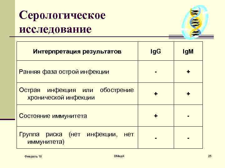 Серологическое исследование Интерпретация результатов Ig. G Ig. M Ранняя фаза острой инфекции - +