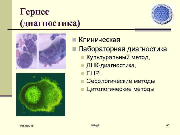 Диагностика герпетической инфекции. Методы лабораторной диагностики герпетической инфекции. Методы диагностики герпесвирусной инфекции. Микробиологическая диагностика герпесвирусных инфекций. Лабораторная диагностика герпесвирусной инфекции.