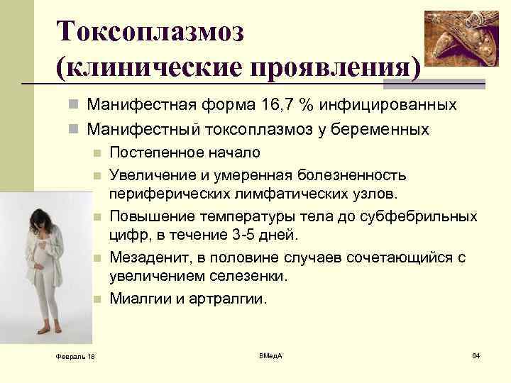 Токсоплазмоз (клинические проявления) n Манифестная форма 16, 7 % инфицированных n Манифестный токсоплазмоз у