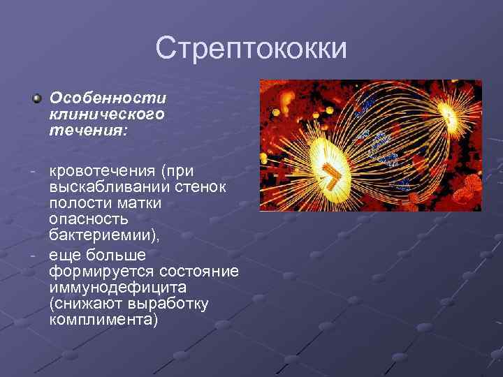 Стрептококки Особенности клинического течения: - кровотечения (при выскабливании стенок полости матки опасность бактериемии), -