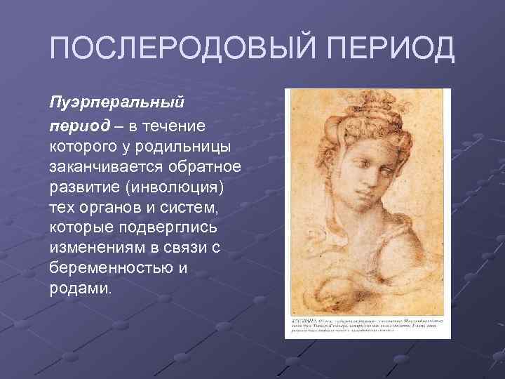 ПОСЛЕРОДОВЫЙ ПЕРИОД Пуэрперальный период – в течение которого у родильницы заканчивается обратное развитие (инволюция)