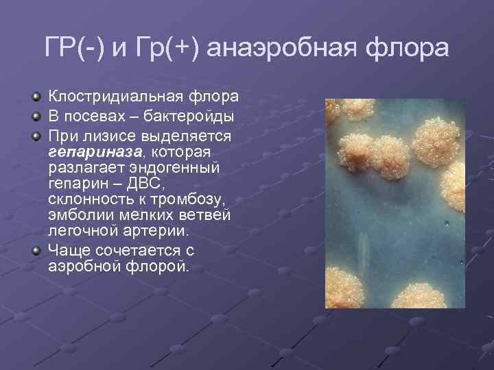 ГР(-) и Гр(+) анаэробная флора Клостридиальная флора В посевах – бактеройды При лизисе выделяется