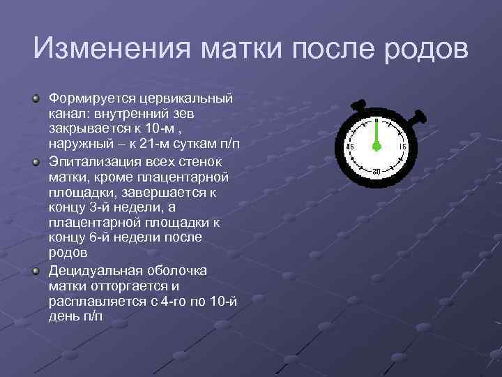Изменения матки после родов Формируется цервикальный канал: внутренний зев закрывается к 10 -м ,
