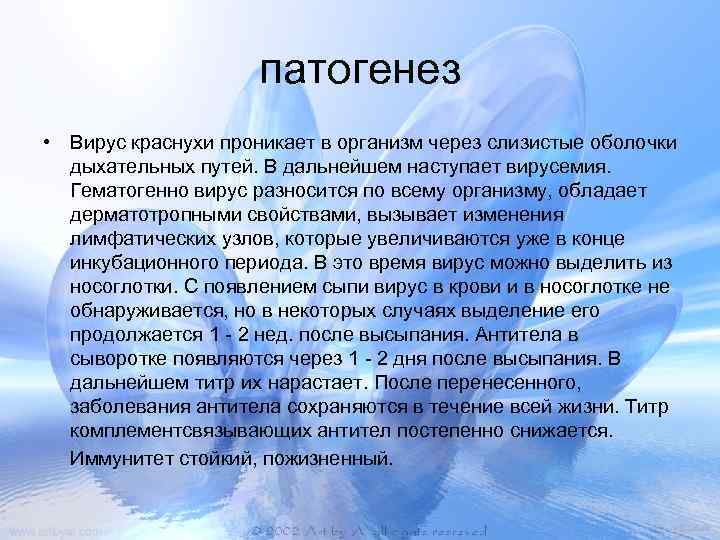 патогенез • Вирус краснухи проникает в организм через слизистые оболочки дыхательных путей. В дальнейшем