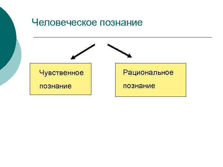 Сферы человеческого знания