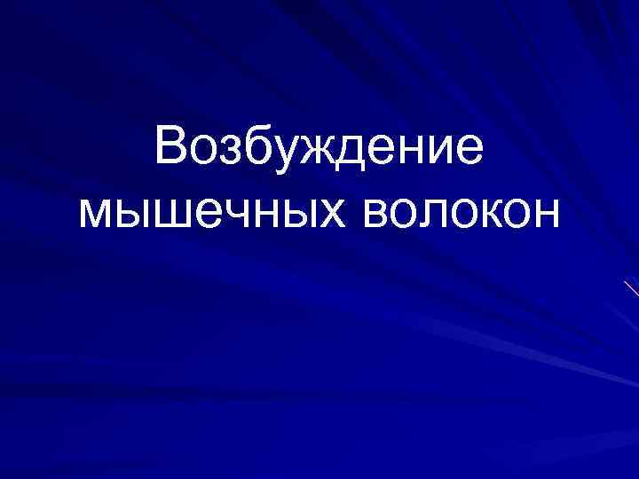 Возбуждение мышечных волокон 
