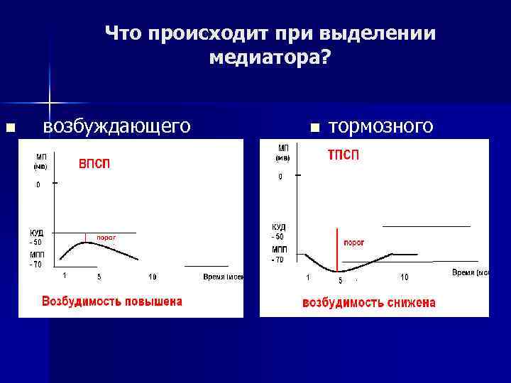 Что происходит при выделении медиатора? n возбуждающего n тормозного 