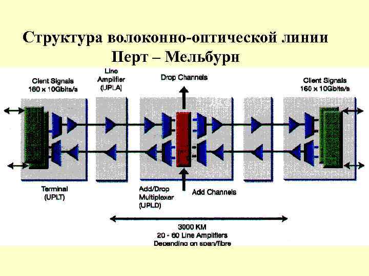 Структура волоконно-оптической линии Перт – Мельбурн 