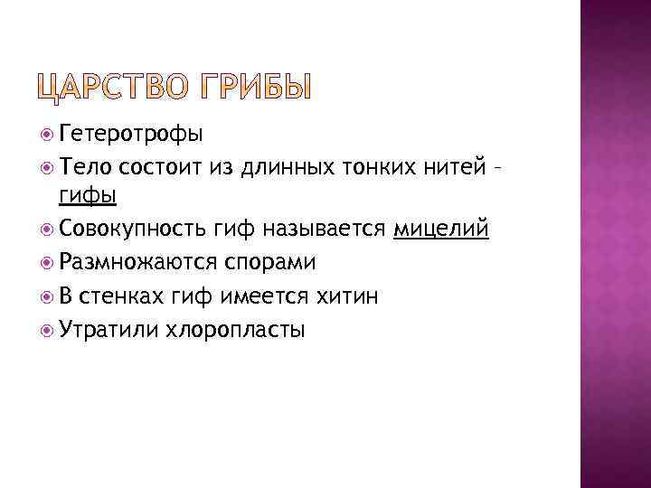  Гетеротрофы Тело состоит из длинных тонких нитей – гифы Совокупность гиф называется мицелий