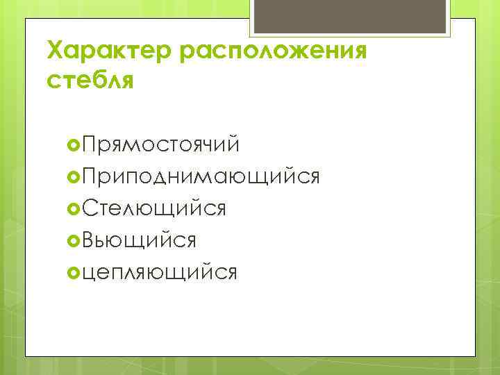 Характер расположения стебля Прямостоячий Приподнимающийся Стелющийся Вьющийся цепляющийся 