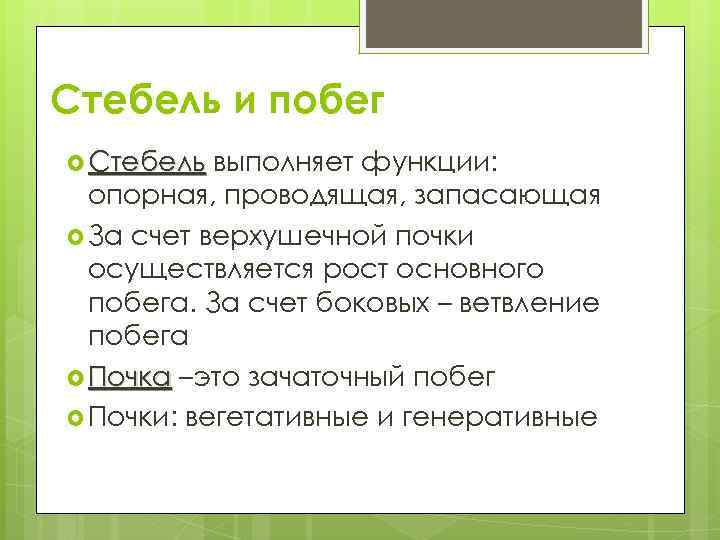 Стебель и побег Стебель выполняет функции: опорная, проводящая, запасающая За счет верхушечной почки осуществляется