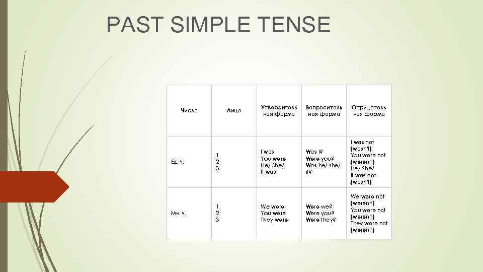 PAST SIMPLE TENSE Число Ед. ч. Мн. ч. Лицо 1 2 3 Утвердитель ная