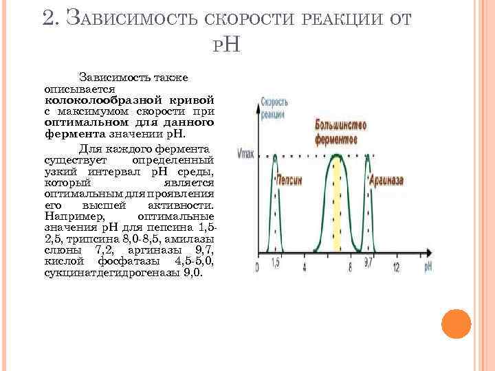 Зависимость ферментов от рн среды