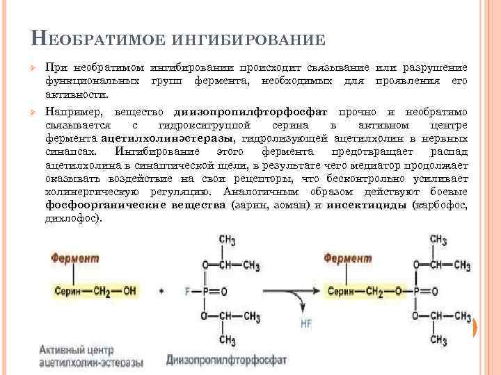 НЕОБРАТИМОЕ ИНГИБИРОВАНИЕ Ø При необратимом ингибировании происходит связывание или разрушение функциональных групп фермента, необходимых