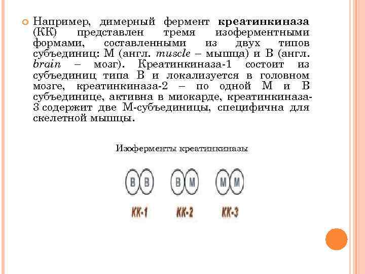  Например, димерный фермент креатинкиназа (КК) представлен тремя изоферментными формами, составленными из двух типов