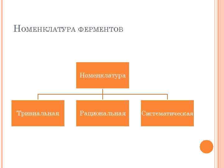 НОМЕНКЛАТУРА ФЕРМЕНТОВ Номенклатура Тривиальная Рациональная Систематическая 