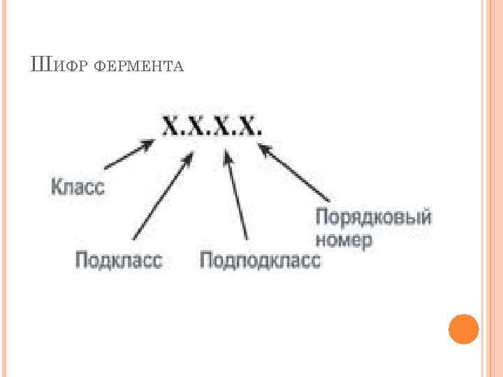 ШИФР ФЕРМЕНТА 